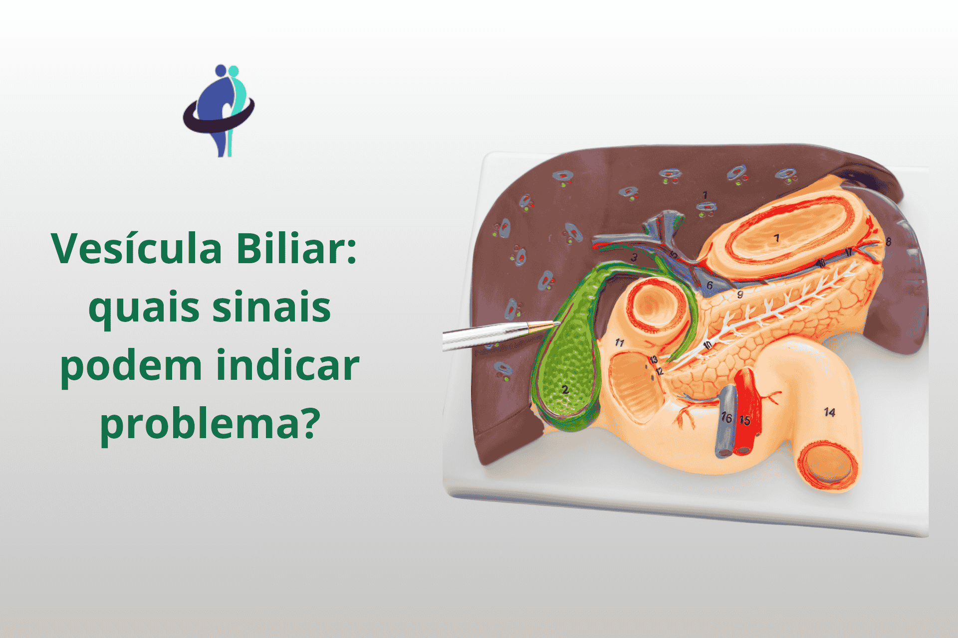 Vesícula Biliar: quais sinais podem indicar problema?